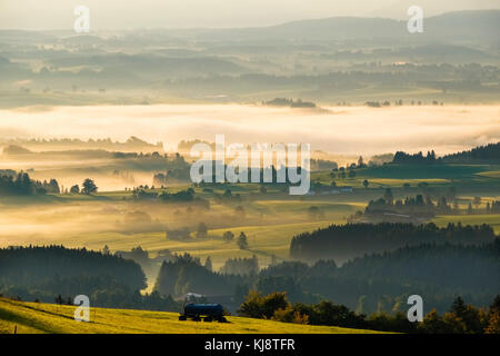 Paysage vallonné avec matin brouillard, Lechtal, vue depuis l'Auerberg près de Bernbeuren, Pfaffenwinkel, Allgäu, Haute-Bavière Banque D'Images