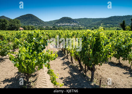 Paysage près de vignoble de Gigondas, la France, l'Europe. Banque D'Images