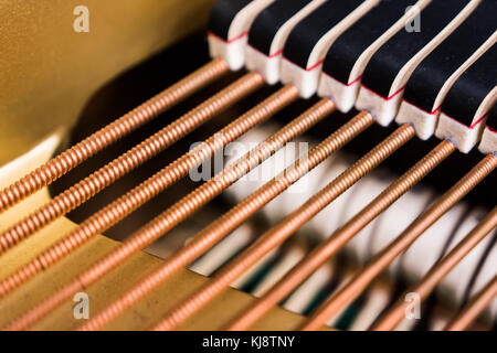 String noir enroulé sur des amortisseurs bass cordes à l'intérieur grand piano Banque D'Images