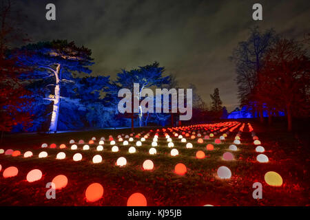 Londres, Royaume-Uni. 21 nov, 2017. vues de la nuit de Noël à Kew, un après-obscurité à pied et d''installations sonores à Kew Gardens, à l'ouest de Londres, maintenant dans sa cinquième année. photo date : mardi, 21 novembre, 2017. crédit : Roger garfield/Alamy live news Banque D'Images