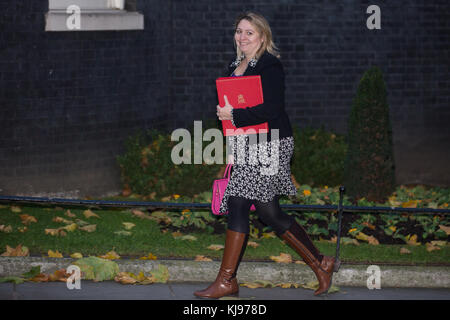 Londres, Royaume-Uni. 22 novembre, 2017. Karen bradley mp, ministre de la culture, des médias et du sport, arrive au 10 Downing Street pour une réunion du cabinet avant de chancelier de l'échiquier philip Hammond's budget. crédit : mark kerrison/Alamy live news Banque D'Images