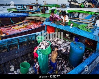 Yangon, région de Yangon, Myanmar. 23 novembre 2017. Les ouvriers déchargent du poisson de la soute d'un bateau au marché aux poissons de San Pya. Le marché aux poissons de San Pya est l'un des plus grands marchés aux poissons de Yangon. C'est un marché ouvert 24 heures sur 24, mais le plus fréquenté tôt le matin. La plupart des poissons sur le marché sont capturés à l'état sauvage, mais l'aquaculture est en expansion au Myanmar et plus de poissons d'eau douce d'élevage sont vendus maintenant que par le passé. Crédit : Jack Kurtz/ZUMA Wire/Alamy Live News Banque D'Images