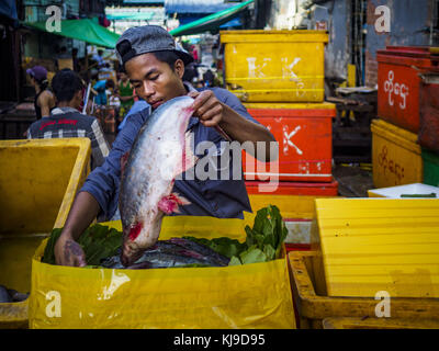 Yangon, région de Yangon, Myanmar. 23 novembre 2017. Un ouvrier emballe du poisson au marché aux poissons de San Pya. Le marché aux poissons de San Pya est l'un des plus grands marchés aux poissons de Yangon. C'est un marché ouvert 24 heures sur 24, mais le plus fréquenté tôt le matin. La plupart des poissons sur le marché sont capturés à l'état sauvage, mais l'aquaculture est en expansion au Myanmar et plus de poissons d'eau douce d'élevage sont vendus maintenant que par le passé. Crédit : Jack Kurtz/ZUMA Wire/Alamy Live News Banque D'Images