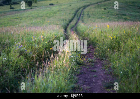 Pays descente sinueuse route de terre dans l'herbe haute dans les montagnes de l'Altaï, au Kazakhstan, au crépuscule Banque D'Images