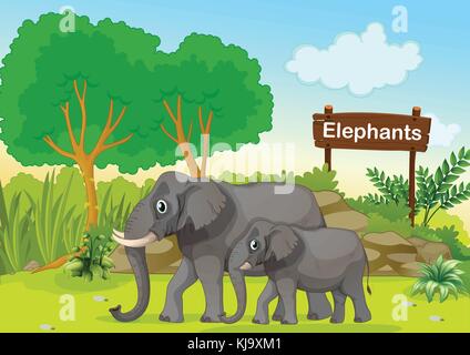 Illustration des deux éléphants gris près d'une enseigne bois Illustration de Vecteur