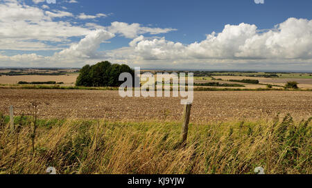 Vue panoramique sur Wiltshire de Hackpen hill, à l'ouest. Banque D'Images