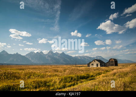 Des bâtiments abandonnés à mormon row sur les antilopes appartements donnant sur le Grand Teton National Park. Ancienne maison de Thomas Murphy Banque D'Images