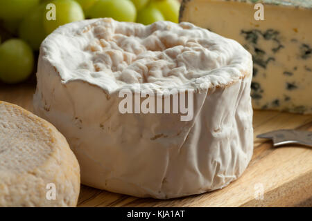 Petit camembert close up sur un plateau de fromages français Banque D'Images