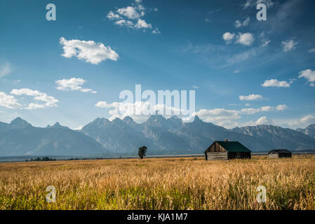 Des bâtiments abandonnés à mormon row sur les antilopes appartements donnant sur le Grand Teton National Park. Banque D'Images