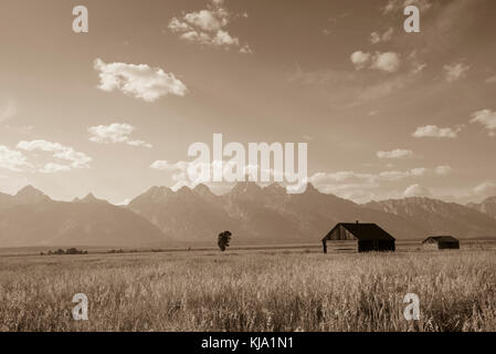 Des bâtiments abandonnés à mormon row sur les antilopes appartements donnant sur le Grand Teton National Park. Banque D'Images