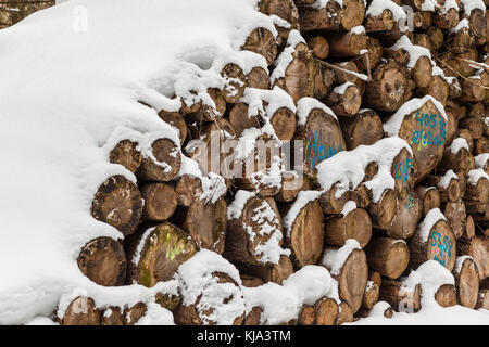 Holzpolter verschneit im winter Banque D'Images