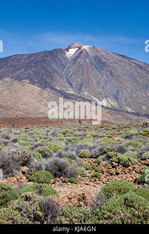 Pico del Teide, 3718 mètres, plus haute montagne sur le territoire de l'Espagne, site du patrimoine mondial de l'UNESCO, l'île de Tenerife, Canaries, Espagne Banque D'Images