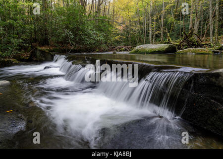 Lynn camp broche est l'un des deux principaux affluents de la broche du milieu de la petite rivière dans le Great Smoky Mountain National Park. Il est accessible par le sentier de terre du milieu qui suit le flux. la petite rivière est d'environ 60 milles de long et très pittoresque. Il commence dans le parc national Great Smoky et finalement se jette dans la rivière Tennessee à fort loudon lake. Banque D'Images