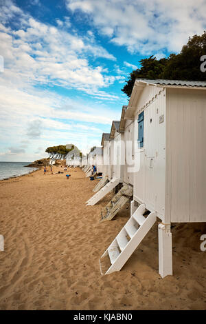 Plage des Dames sur l'Ile de Noirmoutier, Vendée, France Banque D'Images