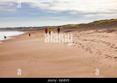Les promeneurs de chiens sur la plage de sable entre Seaton Sluice et Blyth sur une journée avec des hivers de pulvérisation des vagues déferlantes, Northumberland, Angleterre Banque D'Images