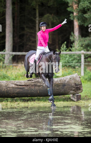 Cheval de Hanovre. Rider un obstacle lors de la compensation d'une ride. Allemagne Banque D'Images