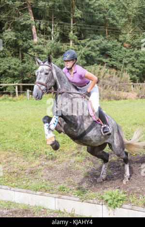 Cheval de Hanovre. Effacement d'un rider obstacle pendant un cross-country ride, vue du dessous. Allemagne Banque D'Images