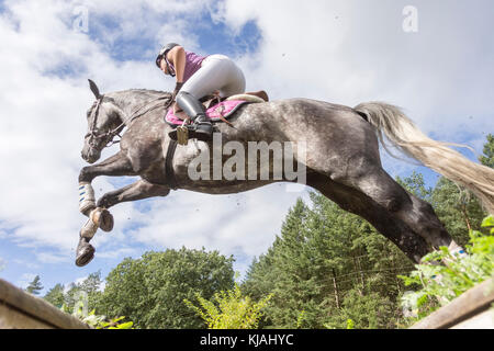 Cheval de Hanovre. Effacement d'un rider obstacle pendant un cross-country ride, vue du dessous. Allemagne Banque D'Images