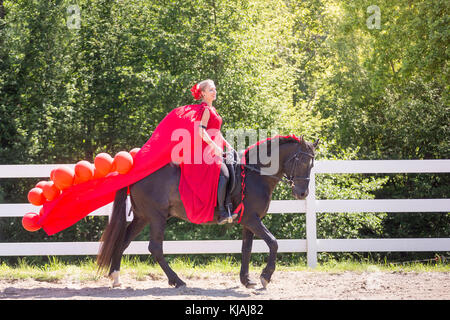 Cheval Espagnol pur, andalou. Rider en robe rouge sur un étalon noir sur une circonscription. L'Autriche Banque D'Images
