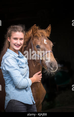 Freiberger, Cheval Franches-Montagnes. Jeune femme debout à côté d'un poulain alezan, vu sur un fond noir. La Suisse Banque D'Images