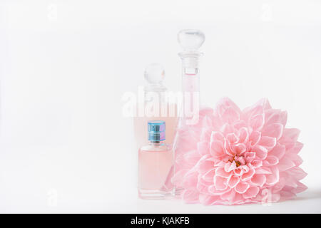 Flacons à parfum et cosmétiques avec fleurs rose pâle sur fond blanc, de face. La Beauté et soin de peau concept Banque D'Images