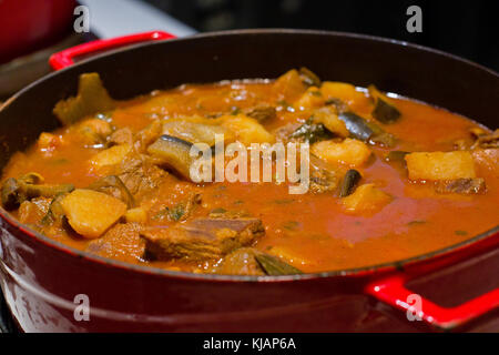 Ragoût de boeuf aux pommes de terre et légumes à la sauce tomate dans la casserole en fonte rouge Banque D'Images
