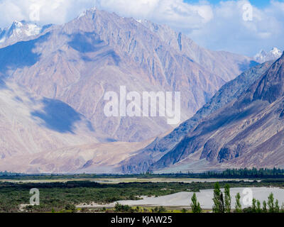 Dunes de sable de la vallée de Nubra au Ladakh Inde Banque D'Images