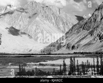 Dunes de sable de la vallée de Nubra au Ladakh Inde Banque D'Images