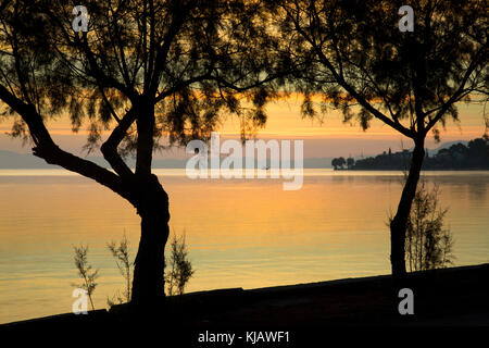 Vu entre le tamaris (tamarix) les arbres, les couleurs vives du ciel du matin se reflètent dans la mer calme, quelques instants avant le lever du soleil. Banque D'Images