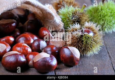 Châtaignes sur table en bois dans la cuisine. Banque D'Images