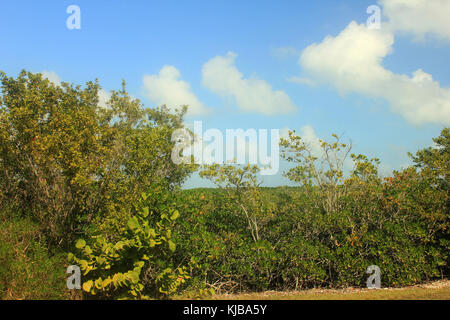 Le parc national de Biscayne floride gfp sur route Banque D'Images