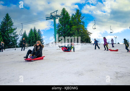 Amusez-vous avec la famille de véhicules de ski au centre de ski de Pertouli, Trikala, Grèce Le 27 décembre 2016. Banque D'Images