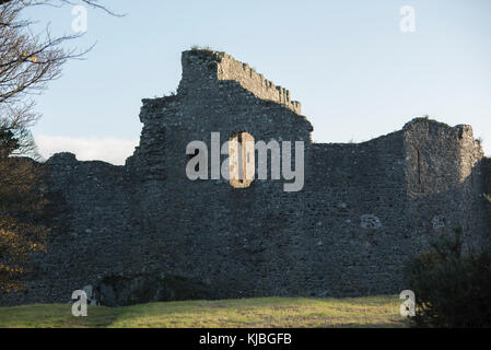 King John's Castle, Carlingford, Irlande Banque D'Images