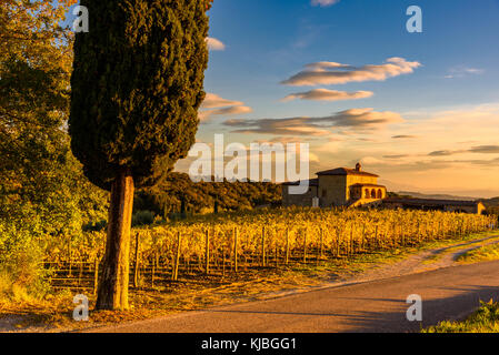 Sienne, Italie - 16 novembre 2017 : une ferme toscane typique immergée dans les vignobles du Chianti à l'automne. Banque D'Images