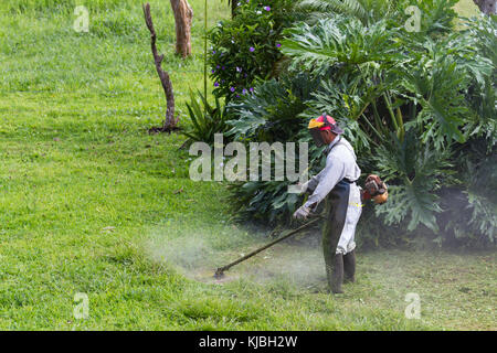 Homme avec un weed whacker tondre la pelouse dans une grande cour au Costa Rica Banque D'Images