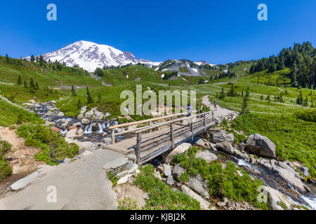 Myrtle Falls sur Edith Creek sur le Myrtle Falls Trail dans la section Paradise du parc national de Mount Rainer dans l'État de Washington aux États-Unis Banque D'Images