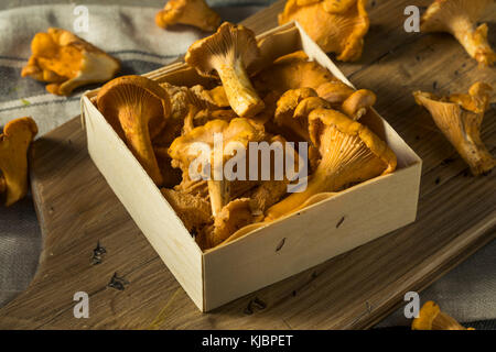 Chanterelles bio orange brut prêt à cuire Banque D'Images