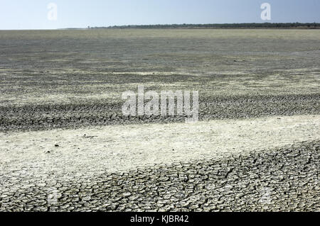 12.2005 argile sèche dans le sel d'Etosha pan. c'est un grand pan de sel endoréiques, faisant partie du bassin du Kalahari dans le nord de la Namibie. Banque D'Images