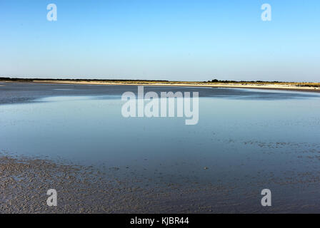 Paysage par namutoni rest camp dans le parc national d'Etosha, Namibie. Banque D'Images