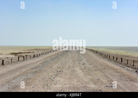 Le long de la route du sel d'Etosha pan. c'est un grand pan de sel endoréiques, faisant partie du bassin du Kalahari dans le nord de la Namibie. Banque D'Images