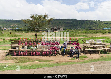 Les hommes africains s'asseoir près de leurs étals de fruits et légumes en vente sur le bord de la route, Kenya, Afrique de l'Est Banque D'Images