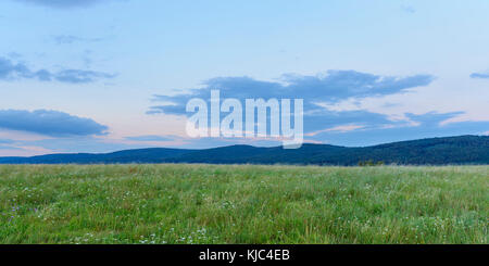 Pré au crépuscule en été à Roellbach dans les collines de Spessart en Bavière, Allemagne Banque D'Images
