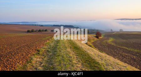 Campagne avec sentier et brume matinale sur les champs à Grosseubach en Bavière, Allemagne Banque D'Images