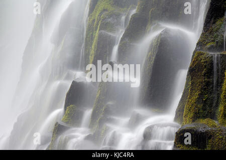 Gros plan des chutes Proxy en cascade sur des colonnes de basalte dans la réserve naturelle de Three Sisters, Oregon, États-Unis Banque D'Images