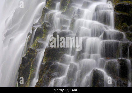 Gros plan des chutes Proxy en cascade sur des colonnes de basalte dans la réserve naturelle de Three Sisters, Oregon, États-Unis Banque D'Images