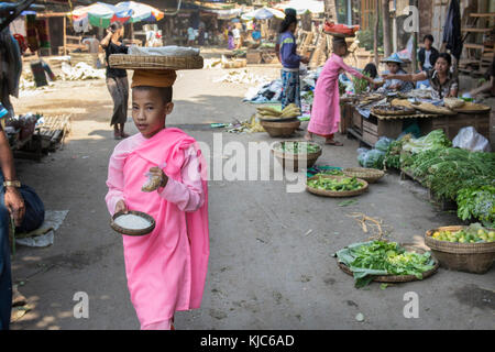 La collecte des moniales novices birman matin alms dans les rues et les marchés de pyay, Birmanie Banque D'Images