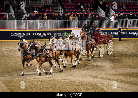 Double S gagnants du concours belge d'attelage à six chevaux au Royal Horse Show au Ricoh Coliseum Exhibition place Toronto Banque D'Images