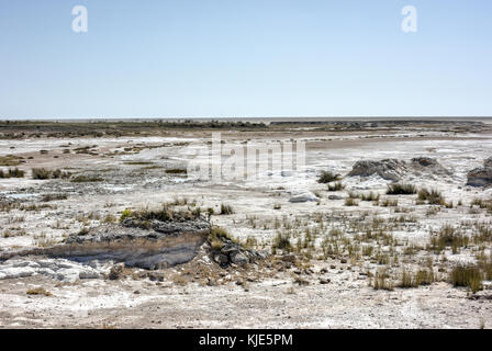 L'etosha est un grand pan de sel endoréiques, faisant partie du bassin du Kalahari dans le nord de la Namibie. Banque D'Images