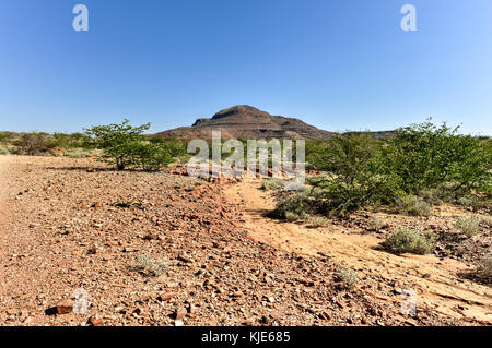 280 millions d'années, à l'extérieur de la forêt pétrifiée de Khorixas, la Namibie. Banque D'Images