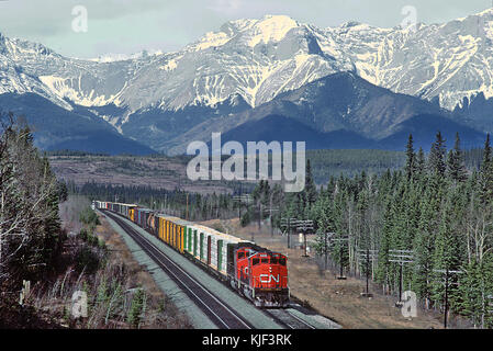 Cette série de photos capture deux rencontres avec la faune à l’entrée d’un site en Alberta, mettant en valeur l’habitat naturel et la diversité de la vie animale que l’on trouve dans la région. Banque D'Images